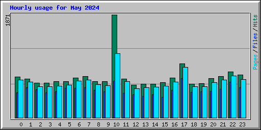 Hourly usage for May 2024